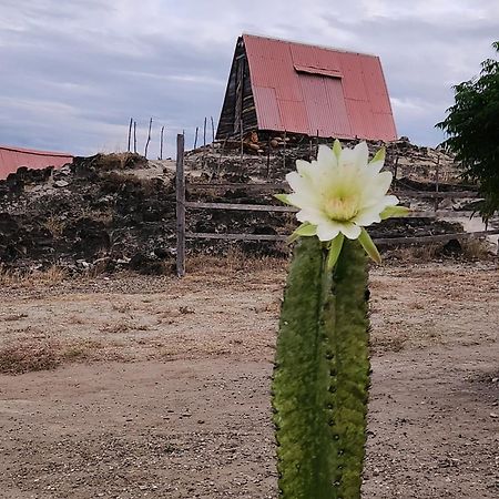 Mana Star Lounge Hotel Villavieja Eksteriør billede